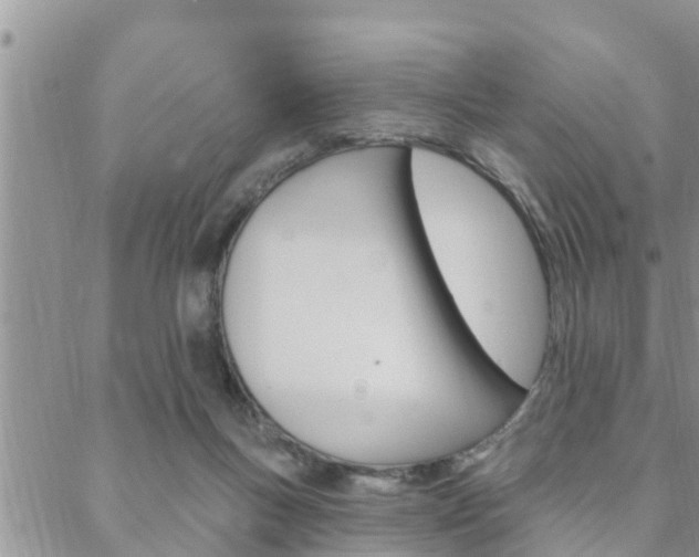 X0000088610167200705250906