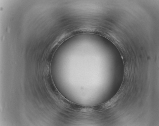 X0000088610168200705250906