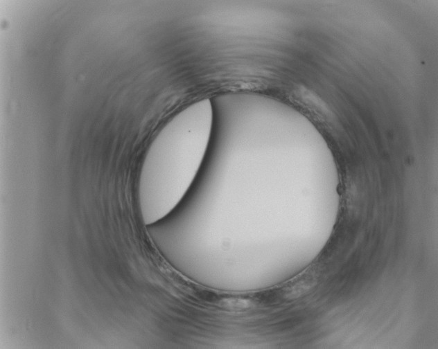 X0000088610169200705250906