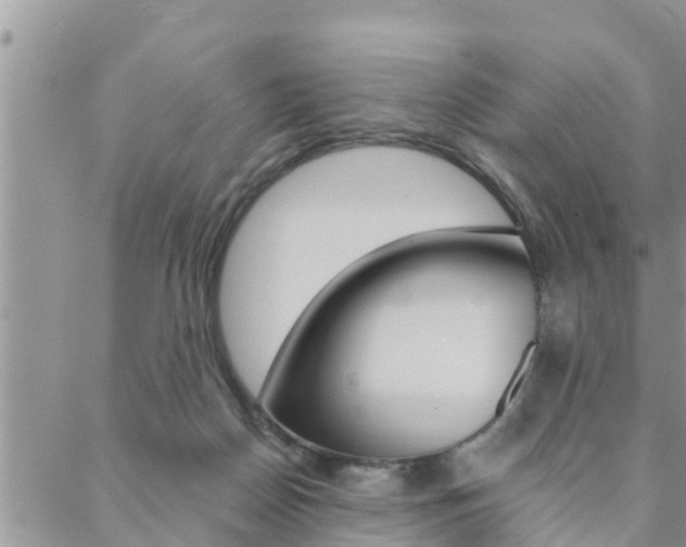 X0000088610170200705250906