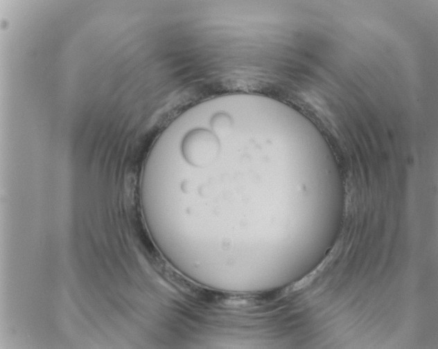 X0000088610171200705250906