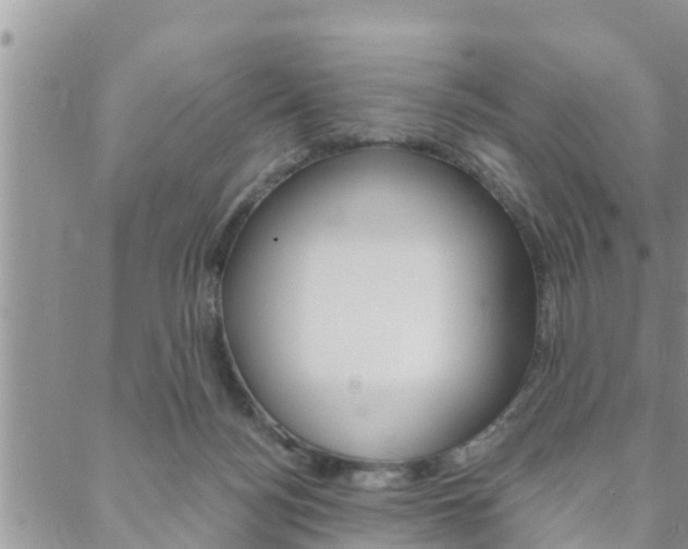 X0000088610172200705250906