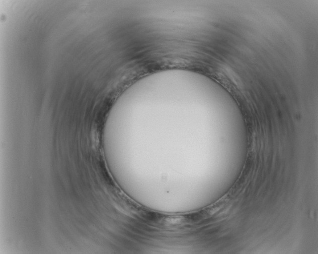 X0000088610173200705250906