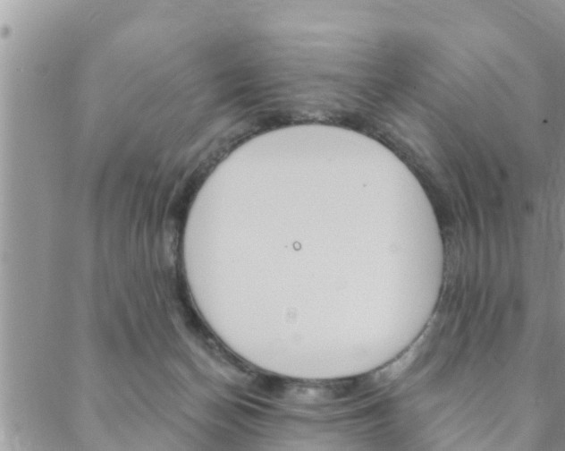 X0000088610174200705250906