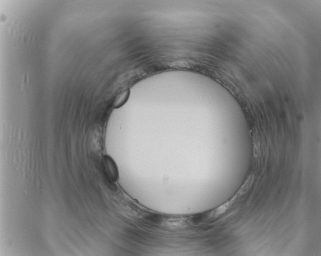 X0000088610175200705250906