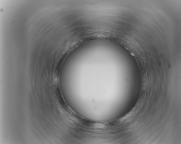 X0000088610176200705250906