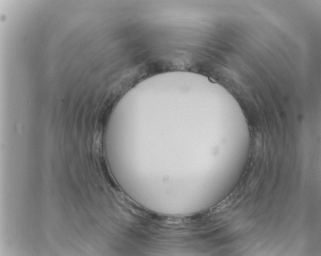 X0000088610177200705250906