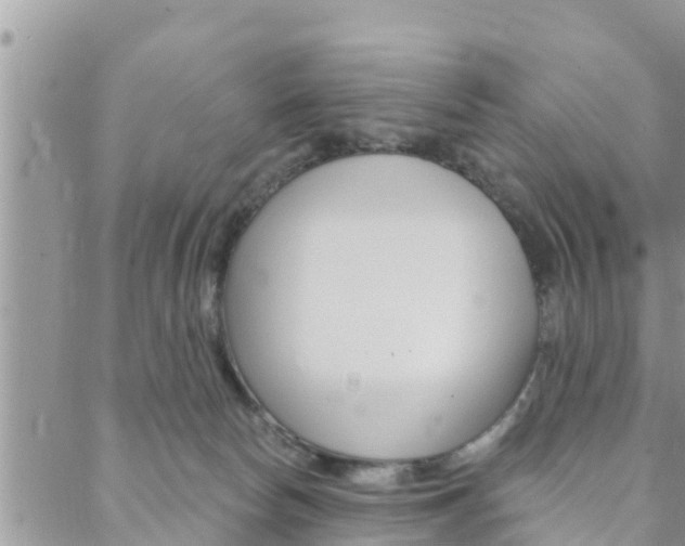 X0000088610178200705250906