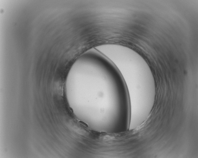 X0000088610180200705250906