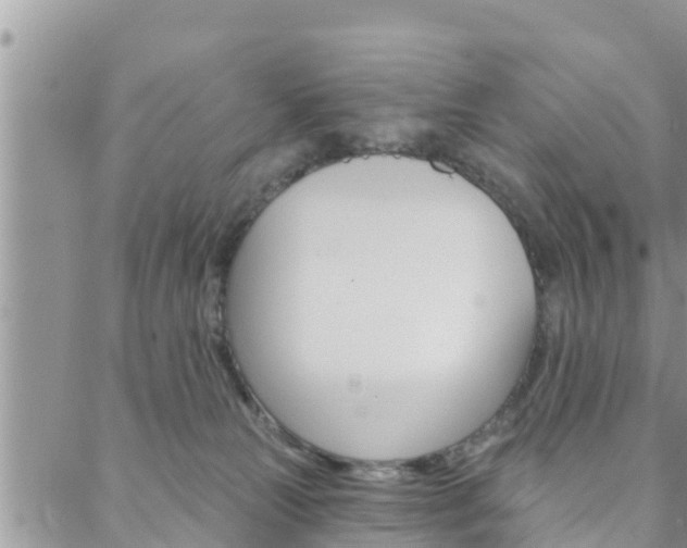 X0000088610181200705250906