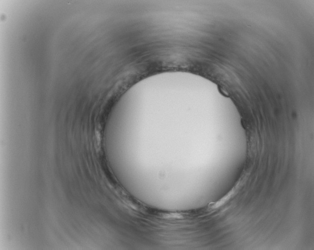 X0000088610183200705250906