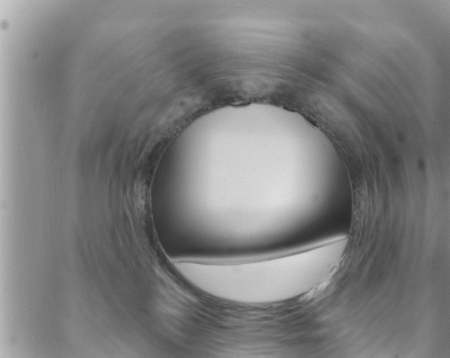 X0000088610184200705250906