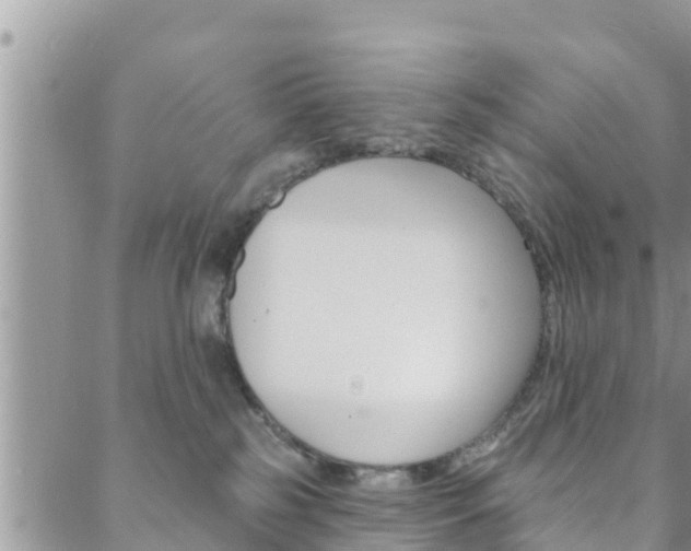 X0000088610185200705250906