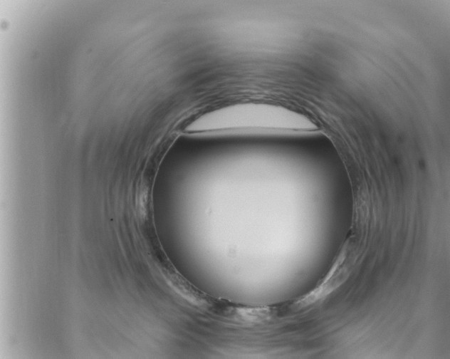 X0000088610188200705250907