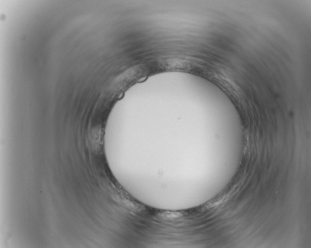 X0000088610189200705250907