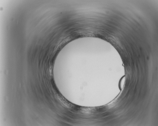 X0000088610190200705250907