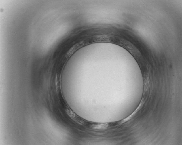 X0000088610191200705250907