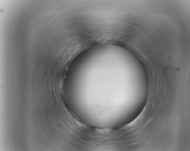 X0000088610192200705250907