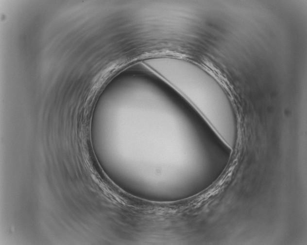 X0000088610193200705250906