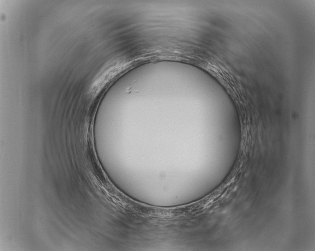 X0000088610194200705250906