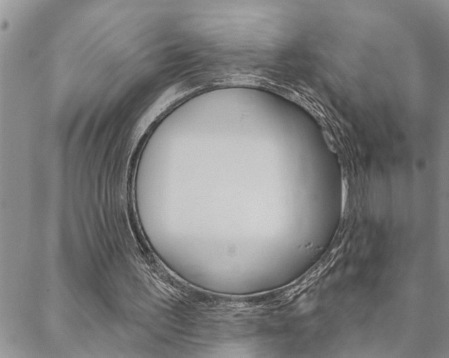 X0000088610195200705250906