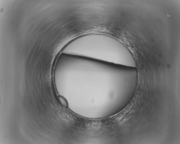 X0000088610196200705250906