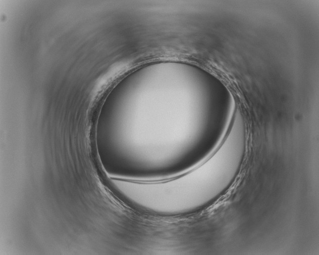 X0000088610197200705250906