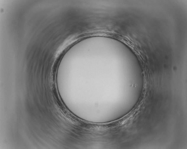 X0000088610198200705250906