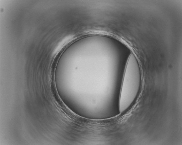 X0000088610199200705250906