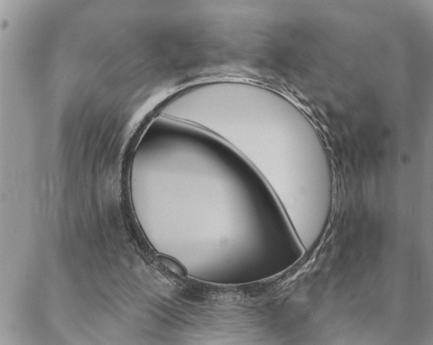 X0000088610200200705250906