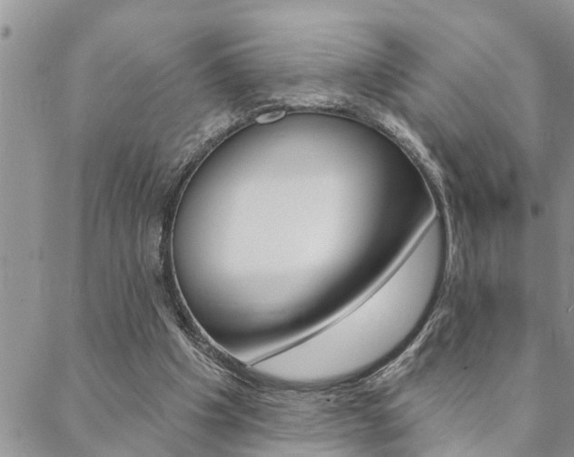 X0000088610201200705250906