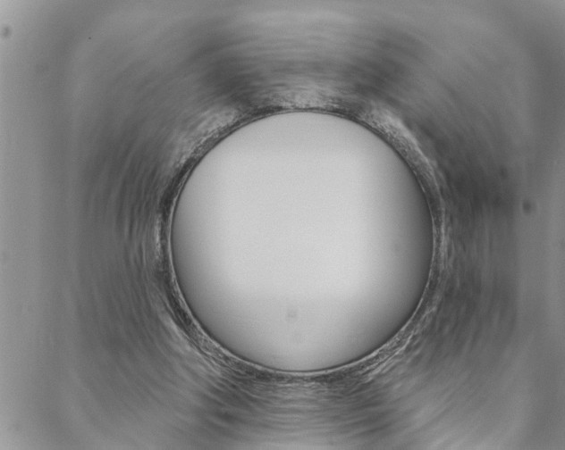 X0000088610202200705250906