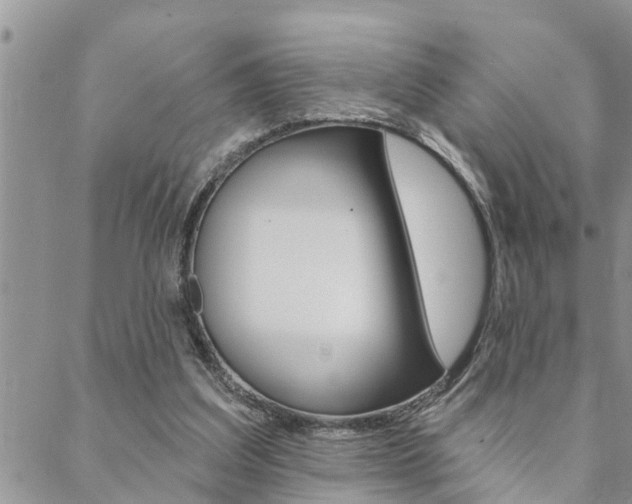 X0000088610203200705250906