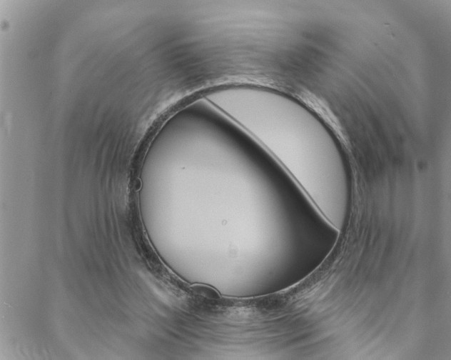 X0000088610204200705250906