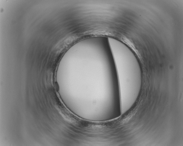 X0000088610205200705250906