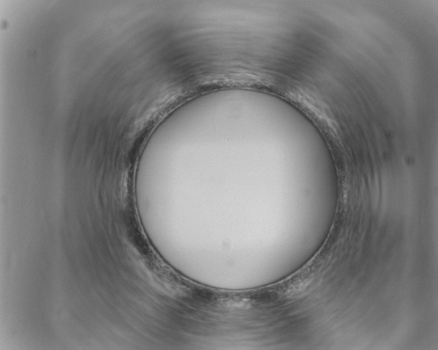 X0000088610206200705250906