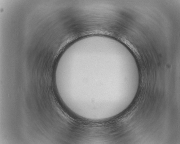 X0000088610207200705250906