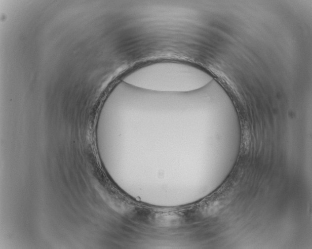 X0000088610208200705250906