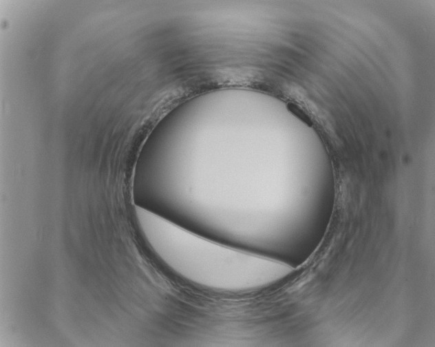 X0000088610209200705250906