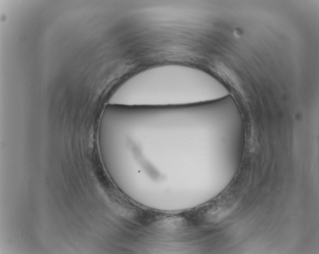 X0000088610210200705250906