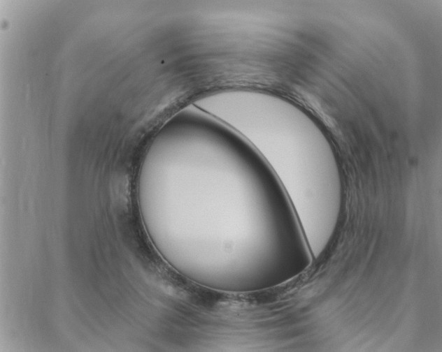 X0000088610211200705250906