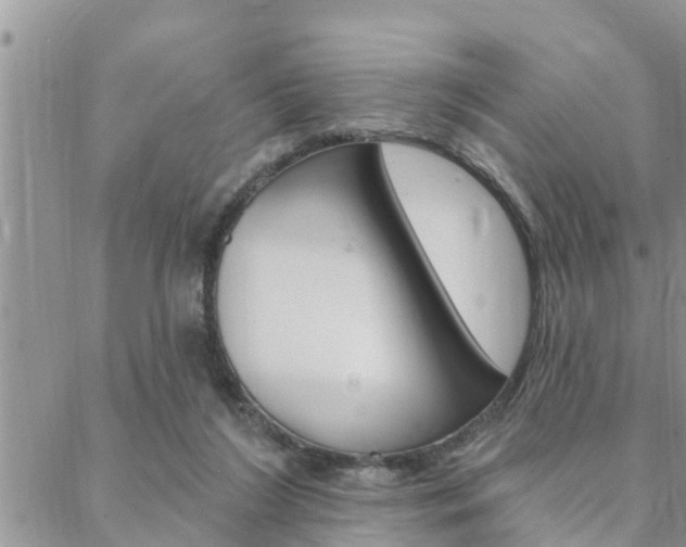 X0000088610212200705250906