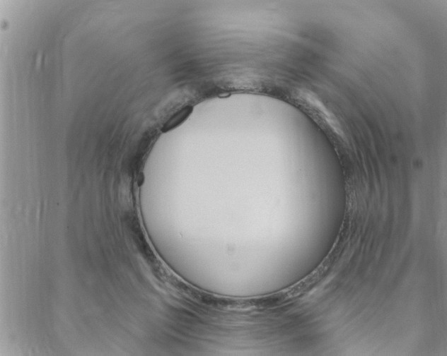 X0000088610213200705250905