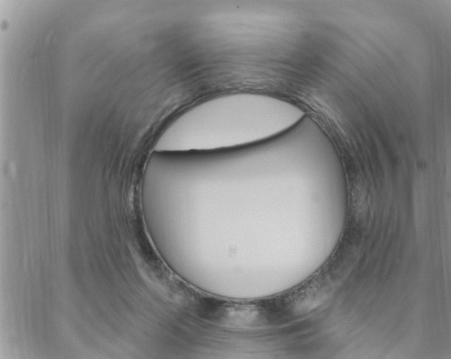 X0000088610214200705250905