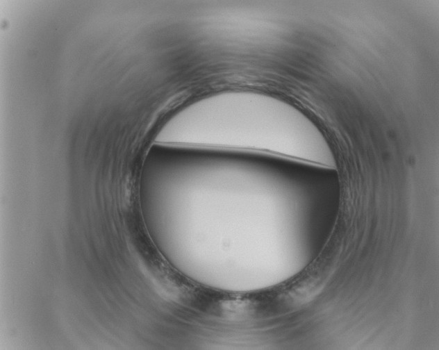 X0000088610216200705250905