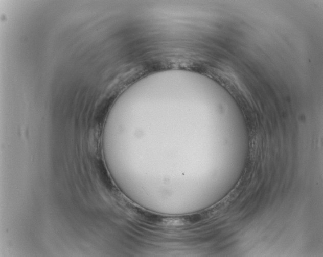 X0000088610218200705250905