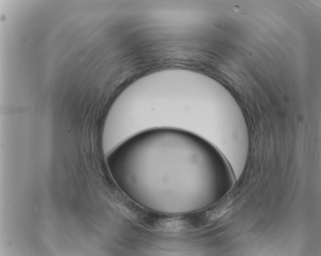 X0000088610219200705250905