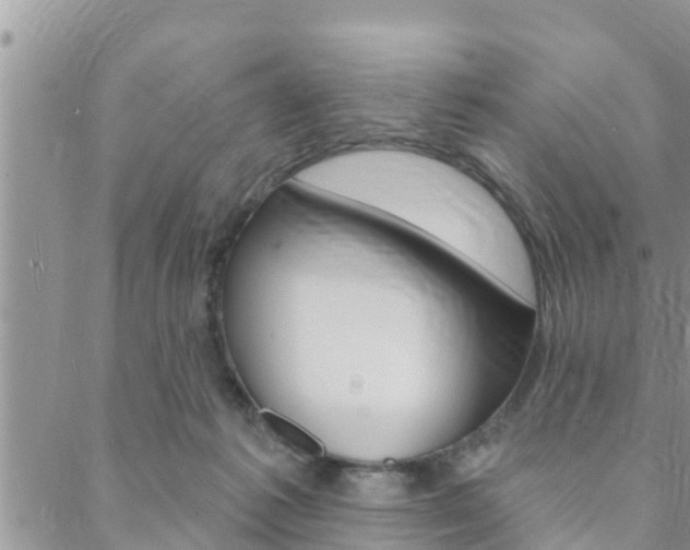 X0000088610221200705250905