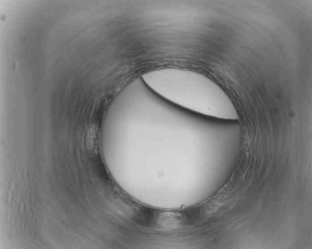 X0000088610222200705250905