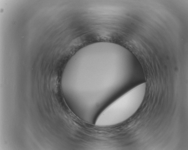 X0000088610223200705250905